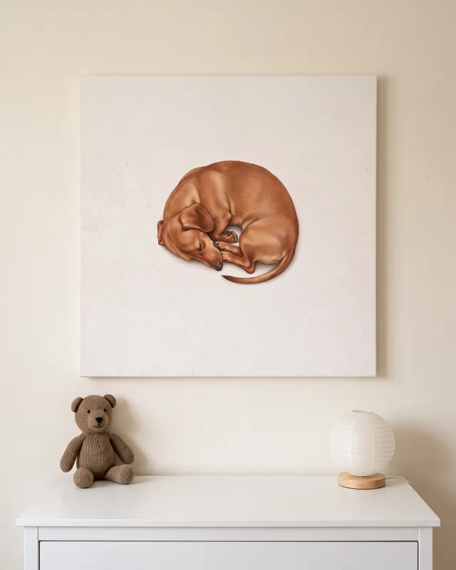 Leinwandbild – Schlafender Hund, eng zusammengerollt