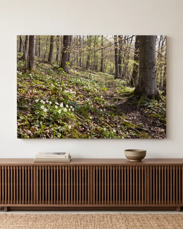 Leinwandbild – Weiße Blüten am Waldboden