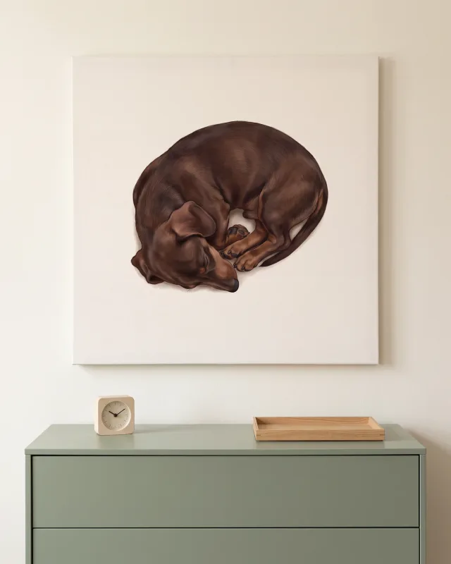 Leinwandbild – Schlafender Hund, zusammengerollt