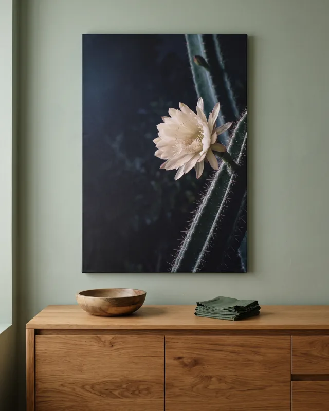 Leinwandbild – Nachtblühende Kaktusblüte