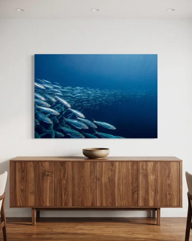 Leinwandbild – Silberne Fischschwärme im tiefblauen Wasser