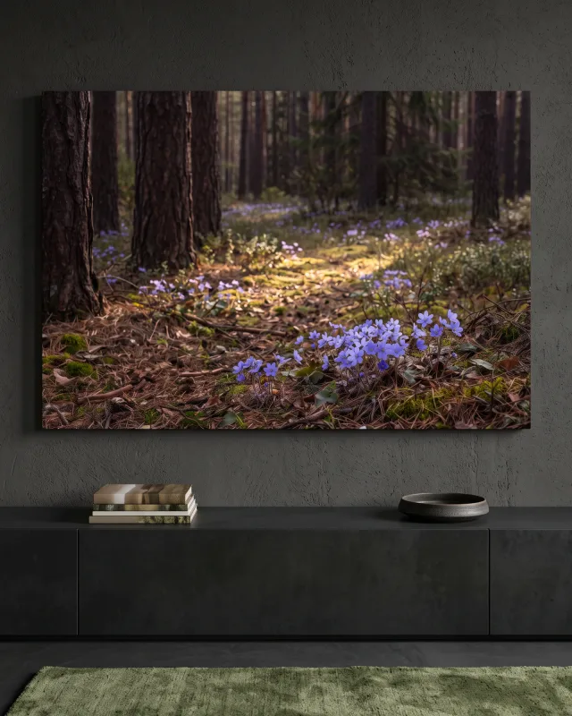 Leinwandbild – Violette Blüten am Waldboden