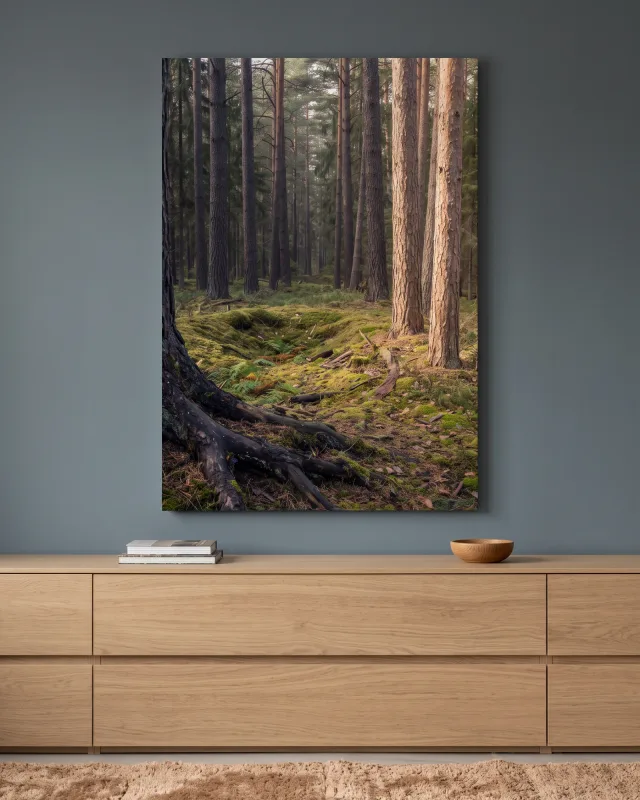 Leinwandbild – Lichter im stillen Wald