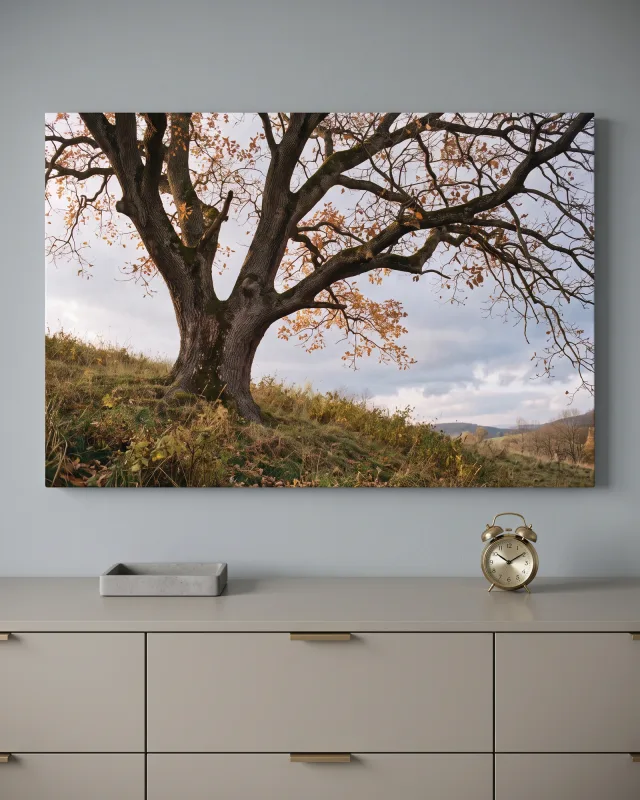 Canvas print – Spreading Tree on an Autumn Slope