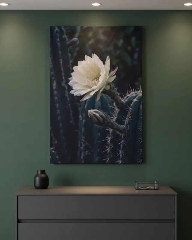 Leinwandbild – Weiße Kaktusblüte im dunklen Grün