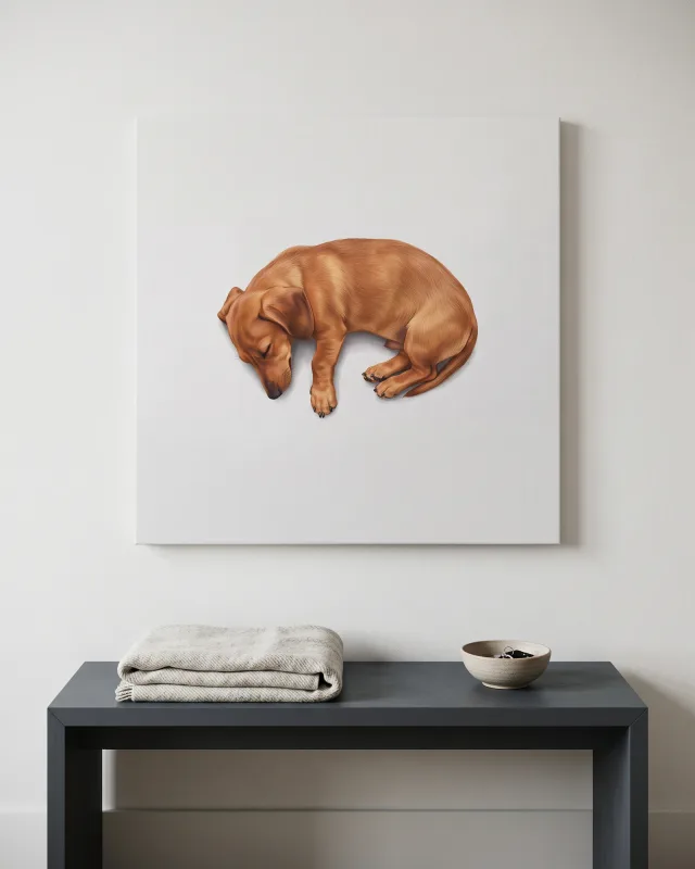 Leinwandbild – Schlafender brauner Hund