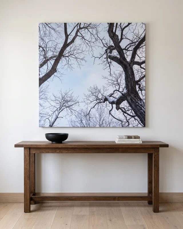 Leinwandbild – Winterliche Baumkronen unter hellem Himmel